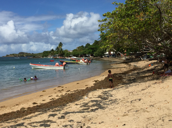 Trip to Martinique